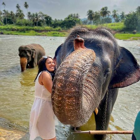 Elephant Park Family Bungalow Udawalawe Ngoại thất bức ảnh