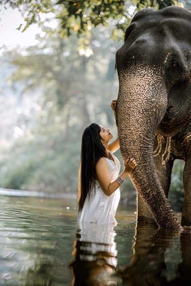 Elephant Park Family Bungalow Udawalawe Ngoại thất bức ảnh