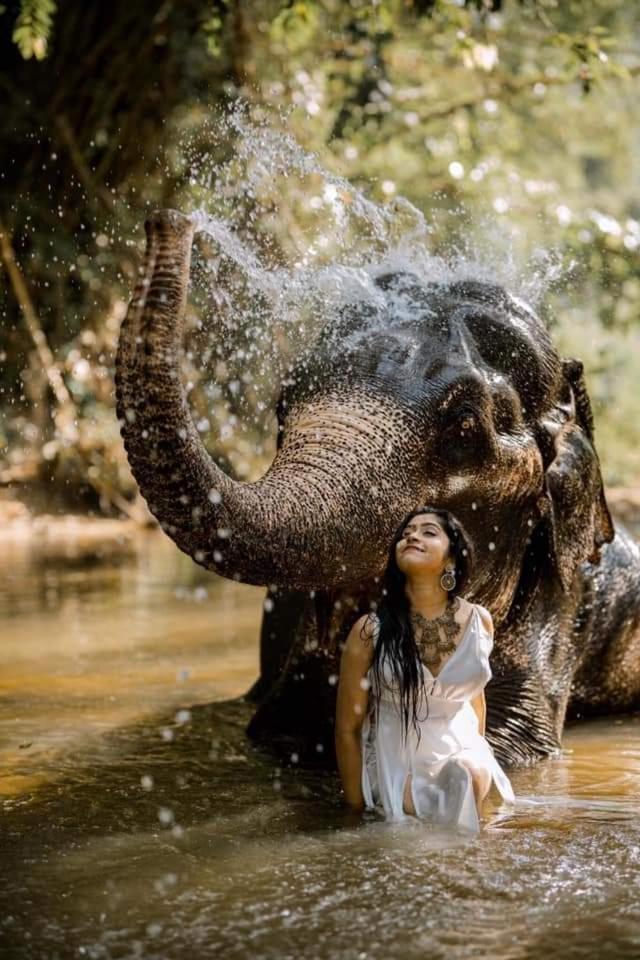 Elephant Park Family Bungalow Udawalawe Ngoại thất bức ảnh