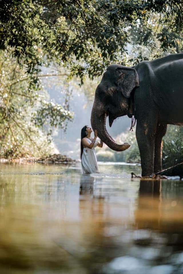 Elephant Park Family Bungalow Udawalawe Ngoại thất bức ảnh