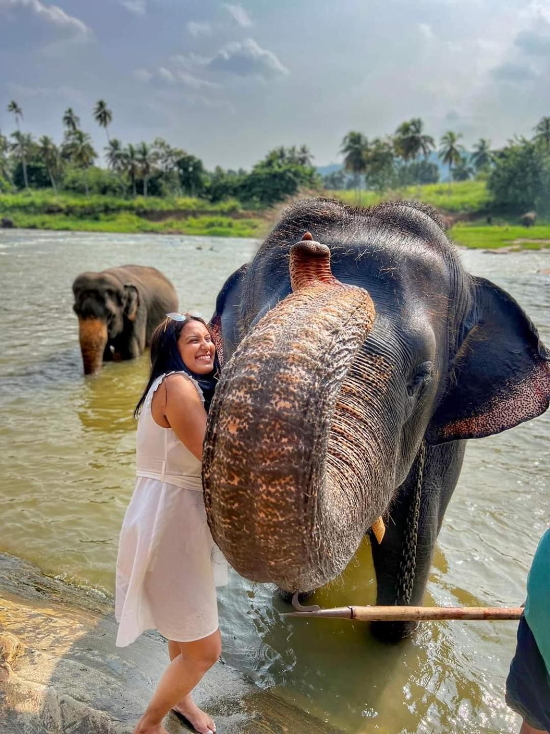 Elephant Park Family Bungalow Udawalawe Ngoại thất bức ảnh